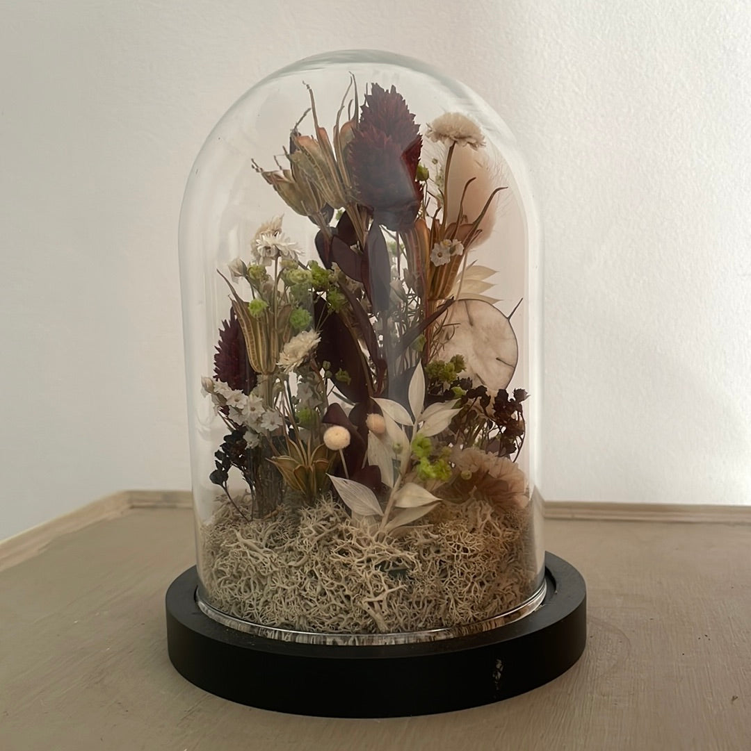 Globe fleuri en fleurs séchées