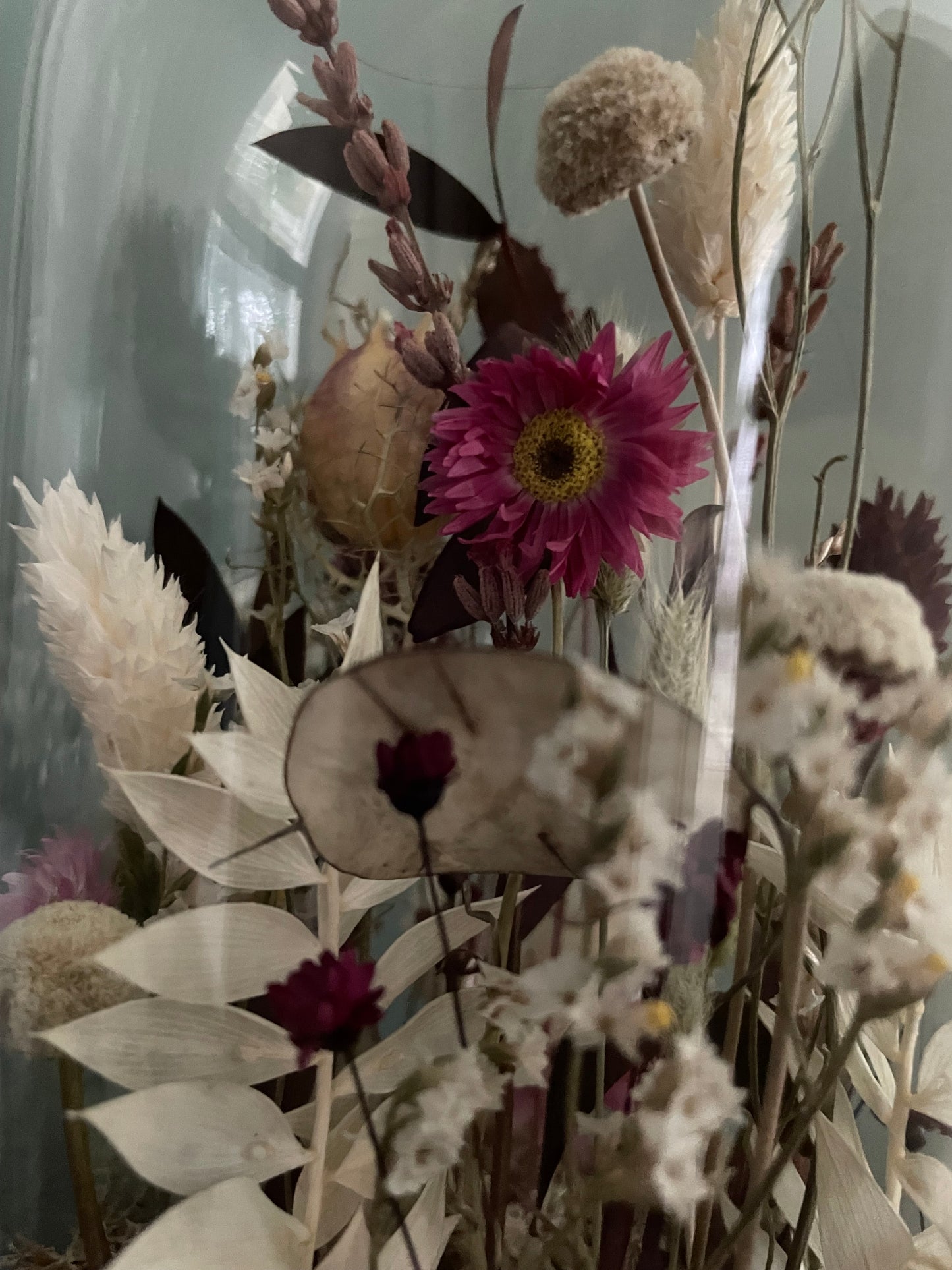 Globe fleuri - fleurs séchées